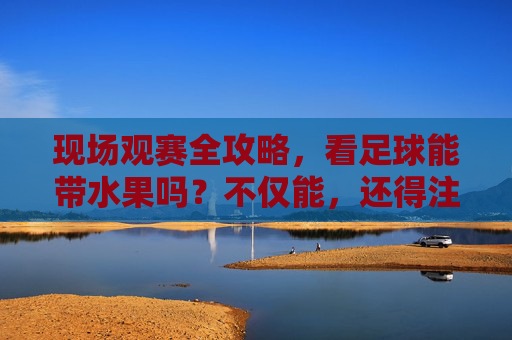 现场观赛全攻略,看足球能带水果吗?不仅能,还得注意这些细节!