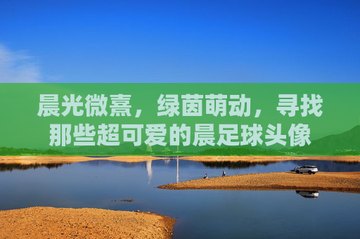 晨光微熹,绿茵萌动,寻找那些超可爱的晨足球头像