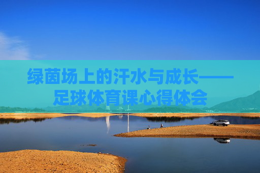 绿茵场上的汗水与成长——足球体育课心得体会