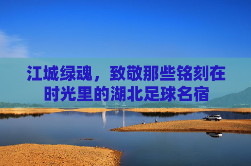 江城绿魂，致敬那些铭刻在时光里的湖北足球名宿