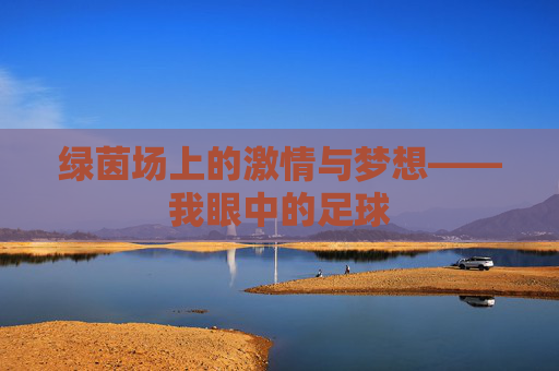 绿茵场上的激情与梦想——我眼中的足球