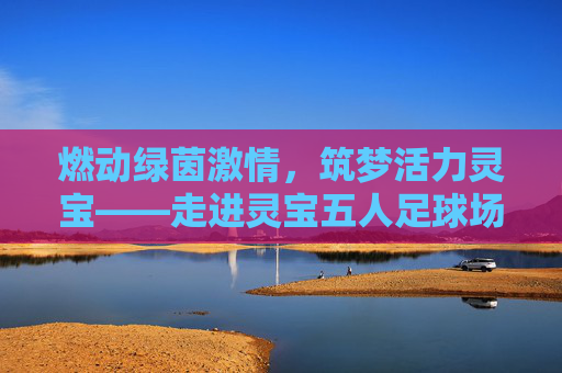 燃动绿茵激情，筑梦活力灵宝——走进灵宝五人足球场