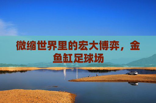 微缩世界里的宏大博弈,金鱼缸足球场