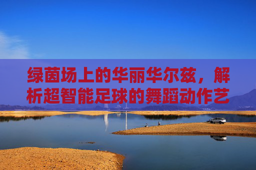 绿茵场上的华丽华尔兹,解析超智能足球的舞蹈动作艺术