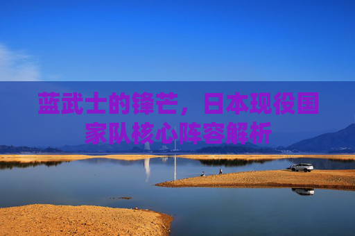 蓝武士的锋芒,日本现役国家队核心阵容解析