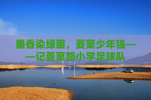 墨香染绿茵,菱窠少年强——记菱窠路小学足球队