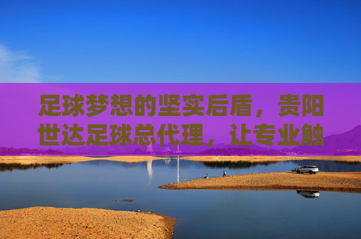 足球梦想的坚实后盾,贵阳世达足球总代理,让专业触手可及
