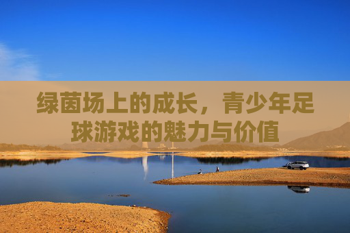 绿茵场上的成长，青少年足球游戏的魅力与价值