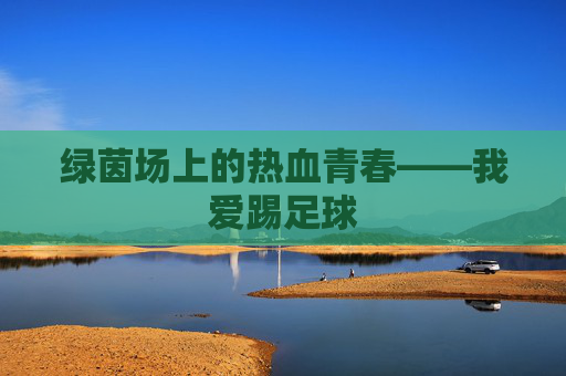绿茵场上的热血青春——我爱踢足球
