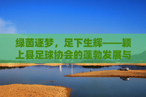 绿茵逐梦,足下生辉——颖上县足球协会的蓬勃发展与绿茵情怀