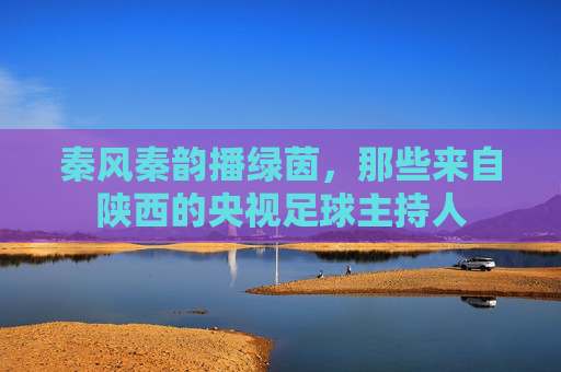 秦风秦韵播绿茵,那些来自陕西的央视足球主持人