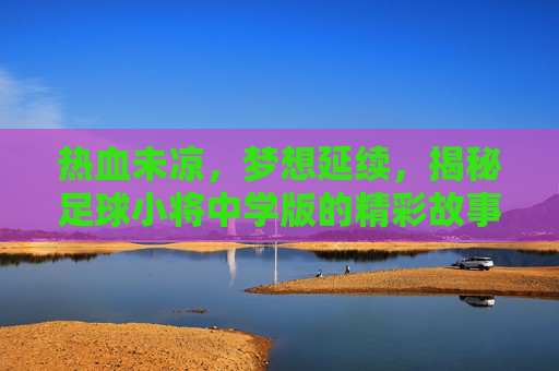 热血未凉，梦想延续，揭秘足球小将中学版的精彩故事