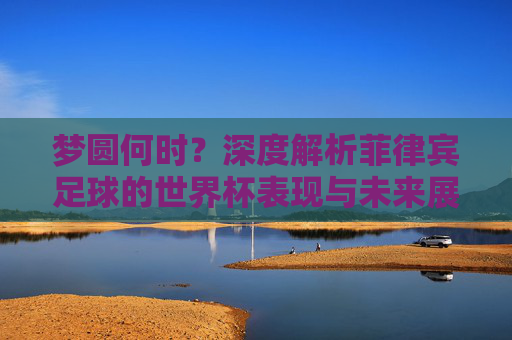 梦圆何时？深度解析菲律宾足球的世界杯表现与未来展望
