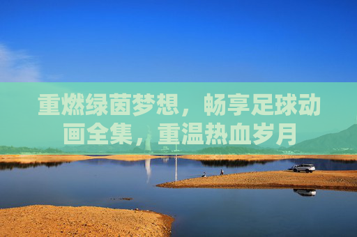 重燃绿茵梦想,畅享足球动画全集,重温热血岁月
