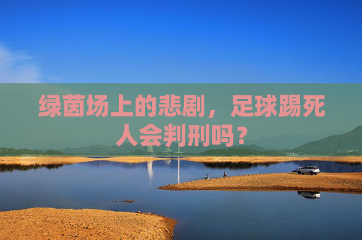 绿茵场上的悲剧,足球踢死人会判刑吗?