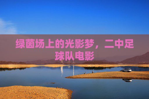绿茵场上的光影梦,二中足球队电影