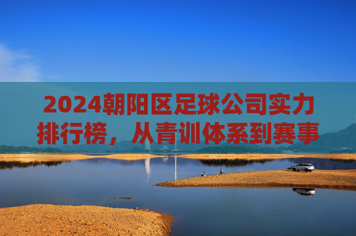 2024朝阳区足球公司实力排行榜，从青训体系到赛事运营的全面解析