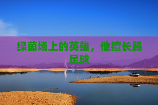 绿茵场上的英雄，他擅长踢足球