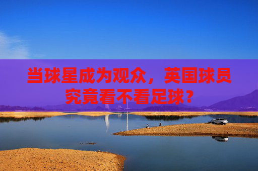 当球星成为观众,英国球员究竟看不看足球?