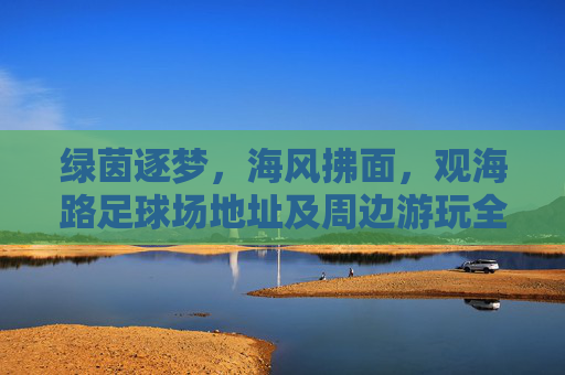 绿茵逐梦，海风拂面，观海路足球场地址及周边游玩全攻略