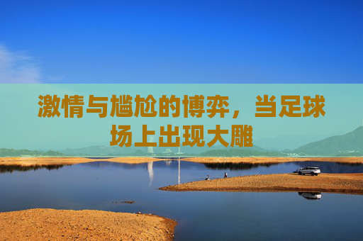 激情与尴尬的博弈,当足球场上出现大雕