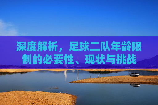深度解析,足球二队年龄限制的必要性、现状与挑战