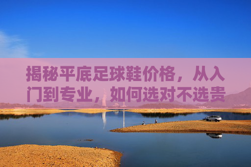 揭秘平底足球鞋价格,从入门到专业,如何选对不选贵