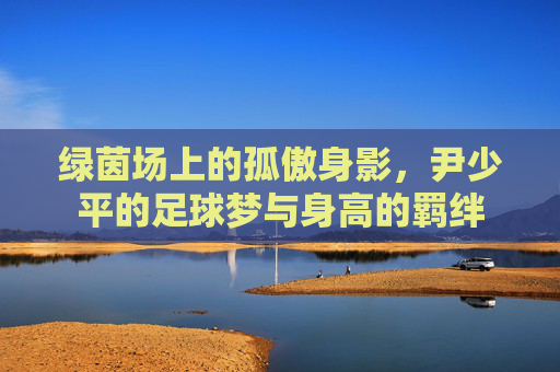 绿茵场上的孤傲身影，尹少平的足球梦与身高的羁绊