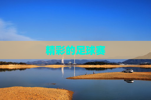 精彩的足球赛