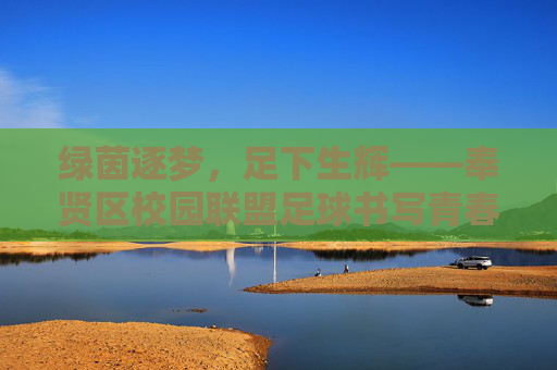 绿茵逐梦,足下生辉——奉贤区校园联盟足球书写青春华章