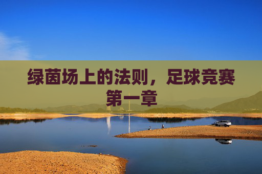 绿茵场上的法则,足球竞赛第一章