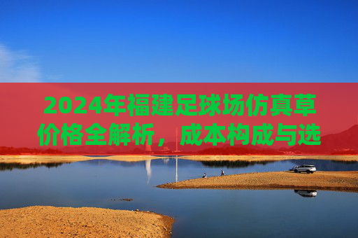 2024年福建足球场仿真草价格全解析,成本构成与选购建议