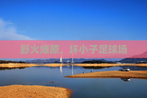 野火燎原，坏小子足球场