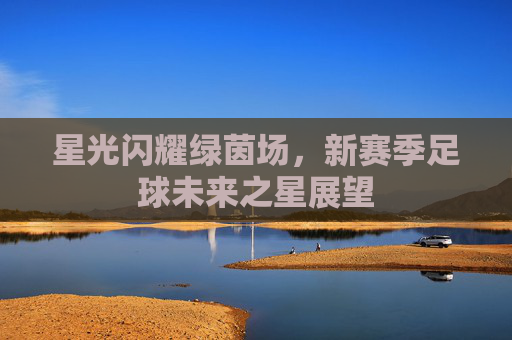 星光闪耀绿茵场,新赛季足球未来之星展望