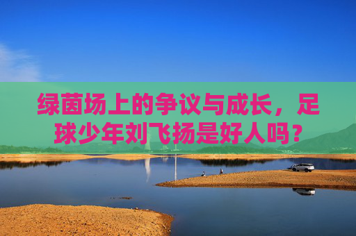 绿茵场上的争议与成长,足球少年刘飞扬是好人吗?