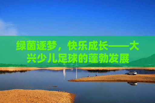 绿茵逐梦，快乐成长——大兴少儿足球的蓬勃发展