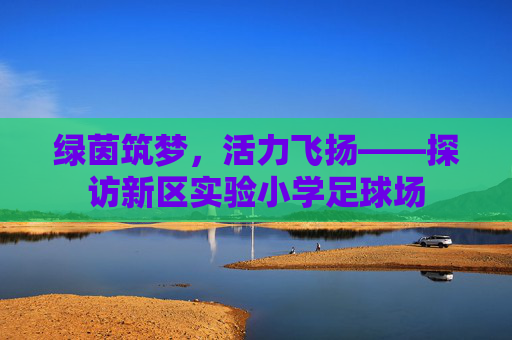 绿茵筑梦,活力飞扬——探访新区实验小学足球场