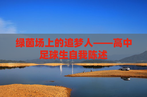 绿茵场上的追梦人——高中足球生自我陈述