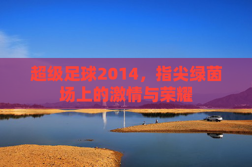 超级足球2014，指尖绿茵场上的激情与荣耀