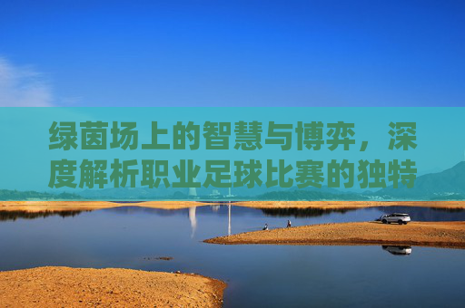 绿茵场上的智慧与博弈,深度解析职业足球比赛的独特魅力