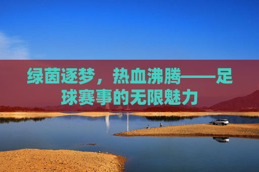 绿茵逐梦，热血沸腾——足球赛事的无限魅力