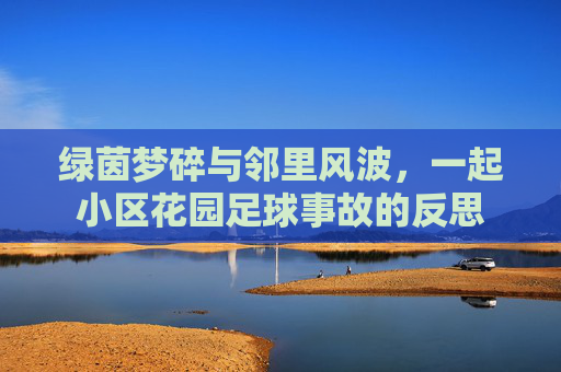 绿茵梦碎与邻里风波，一起小区花园足球事故的反思
