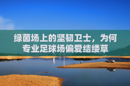 绿茵场上的坚韧卫士,为何专业足球场偏爱结缕草