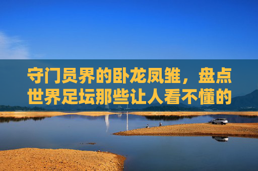 守门员界的卧龙凤雏,盘点世界足坛那些让人看不懂的奇葩门将