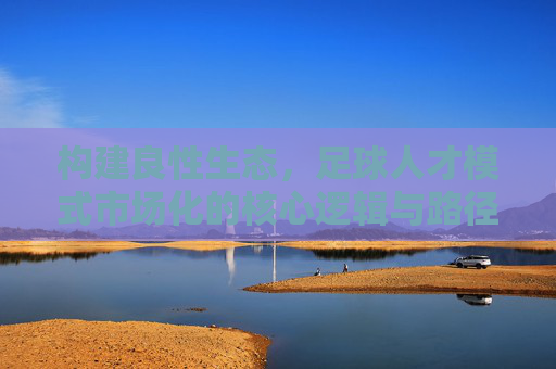 构建良性生态，足球人才模式市场化的核心逻辑与路径