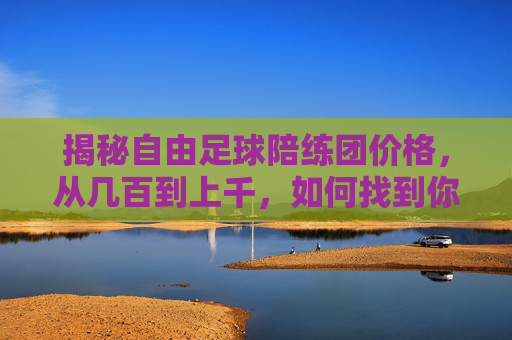 揭秘自由足球陪练团价格,从几百到上千,如何找到你的性价比之王?