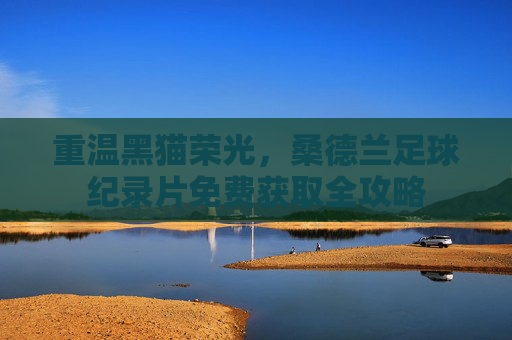 重温黑猫荣光,桑德兰足球纪录片免费获取全攻略