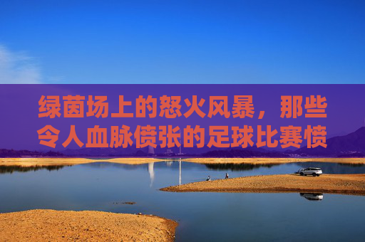 绿茵场上的怒火风暴,那些令人血脉偾张的足球比赛愤怒集锦图