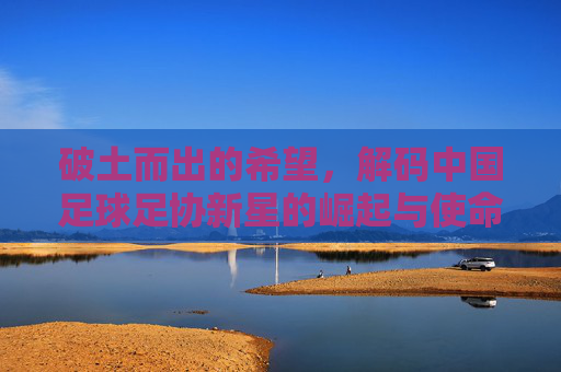 破土而出的希望,解码中国足球足协新星的崛起与使命
