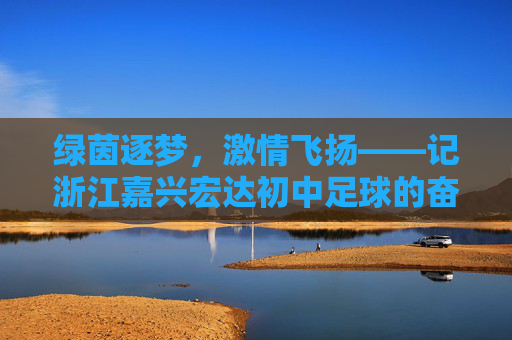 绿茵逐梦，激情飞扬——记浙江嘉兴宏达初中足球的奋斗与荣光
